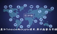 探索类似Tokenim的crypto项目