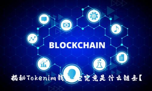 揭秘Tokenim钱包：它究竟是什么链条？