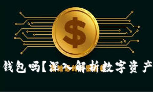 警方能查到冷钱包吗？深入解析数字资产的隐私与追踪