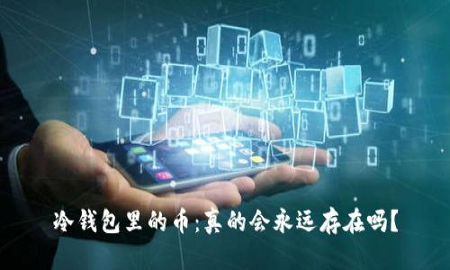 冷钱包里的币：真的会永远存在吗？