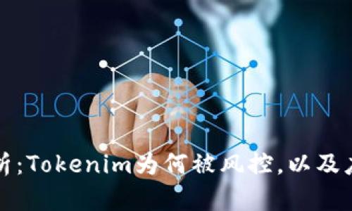 深入解析：Tokenim为何被风控，以及应对策略
