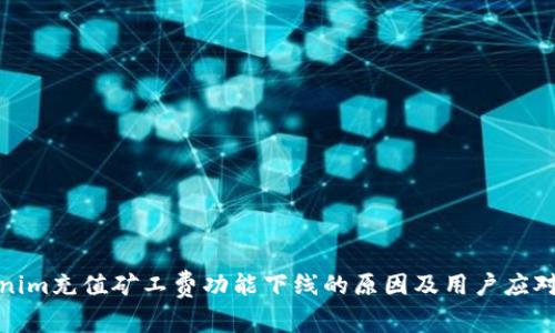 Tokenim充值矿工费功能下线的原因及用户应对策略