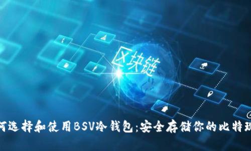 如何选择和使用BSV冷钱包：安全存储你的比特现金