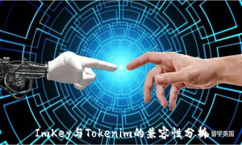  
ImKey与Tokenim的兼容性分析