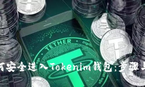 : 如何安全进入Tokenim钱包：步骤与建议