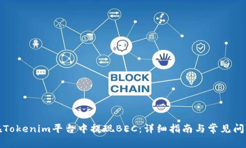 如何在Tokenim平台中提现BEC：详细指南与常见问题解答