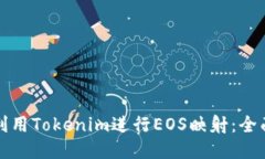 如何利用Tokenim进行EOS映射