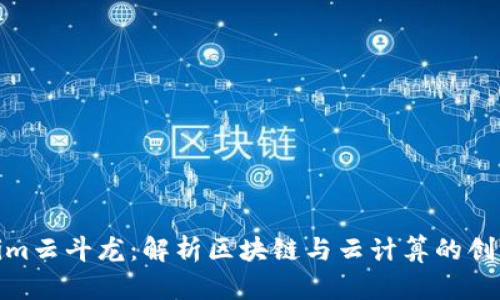 Tokenim云斗龙：解析区块链与云计算的创新融合