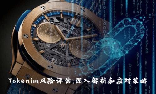 Tokenim风险评估：深入解析和应对策略