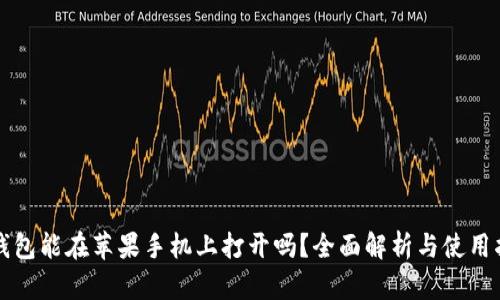 冷钱包能在苹果手机上打开吗？全面解析与使用指南