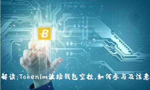 全面解读：Tokenim波场钱包空投，如何参与及注意事项
