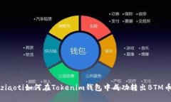 ziaoti如何在Tokenim钱包中成功转出BTM币