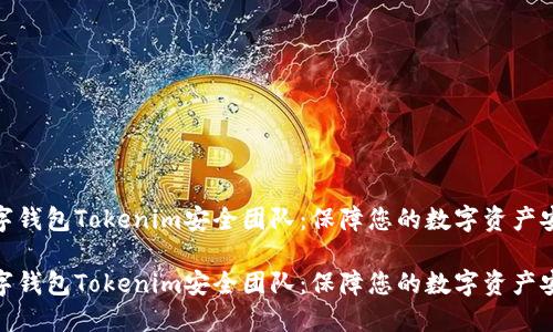 数字钱包Tokenim安全团队：保障您的数字资产安全

数字钱包Tokenim安全团队：保障您的数字资产安全