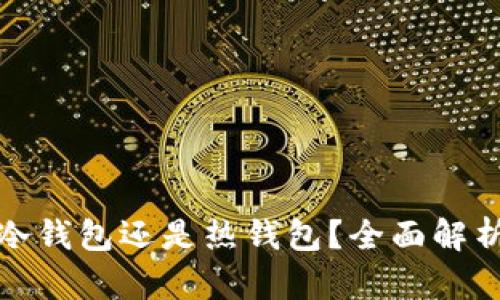 : 极客钱包是冷钱包还是热钱包？全面解析与安全性分析