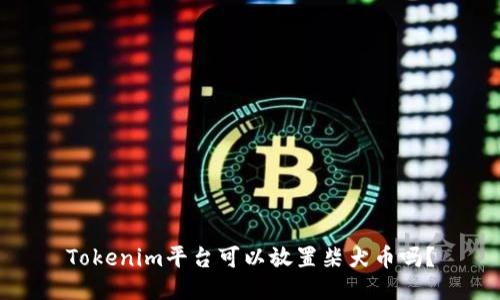Tokenim平台可以放置柴犬币吗？