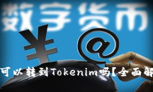 : tT的币可以转到Tokenim吗？全面解析与指南