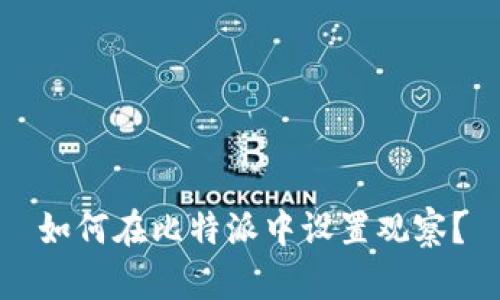 如何在比特派中设置观察？